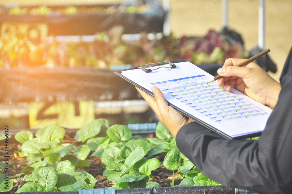 custom made wallpaper toronto digitalYoung women Asian farmers  check the quality of the Product new generation farmer concept.