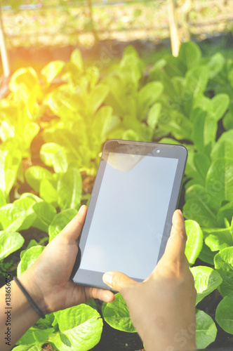 Wallpaper Mural Young women Asian farmers  the tablet with applications to check the quality of the    Product new generation farmer concept. Torontodigital.ca
