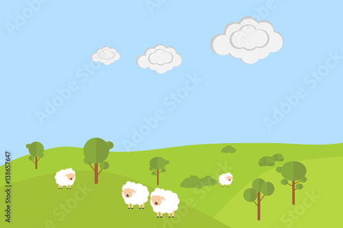 Sheep grazing