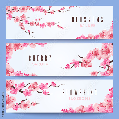 Wedding banners template with spring japan sakura, cherry blossom