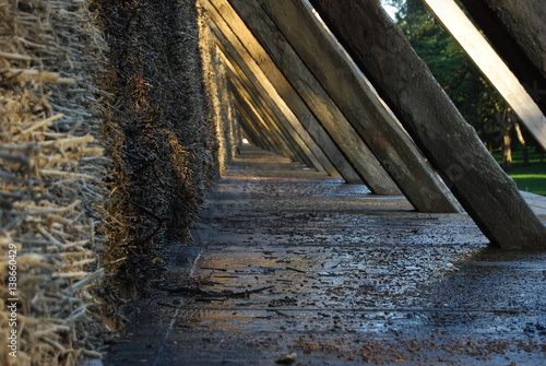 Ciechocinek, Teznie.