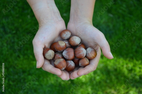 Nüsse in Kinderhand