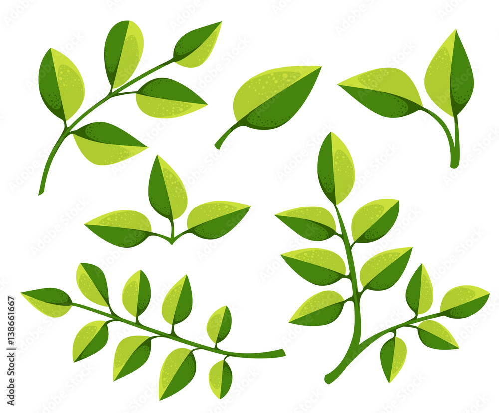 Set of leaves design elements. Vector illustration