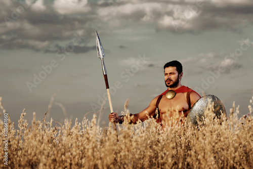 Muscular medieval warrior standing in the field