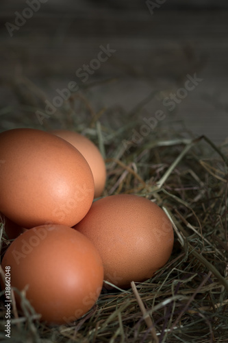 fresh eggs in a nest.