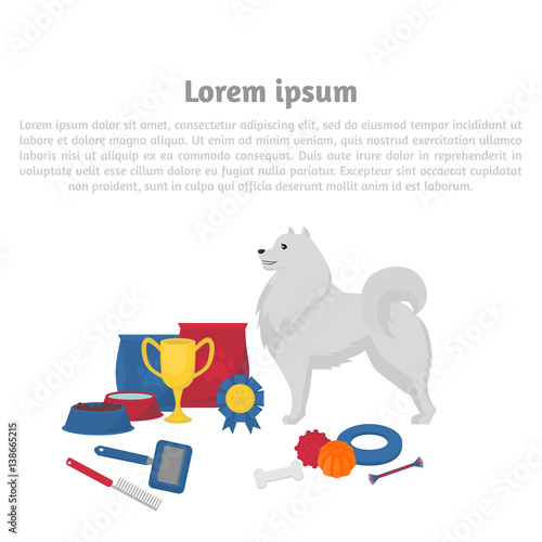 Samoyed with dog items. Pet care elements for grooming, walking, feeding and winning in competition