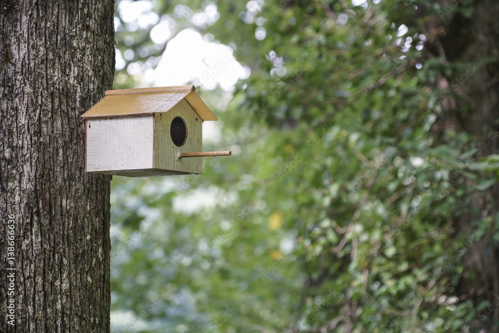 Little bird house on tree in forest Little bird house on tree in forest