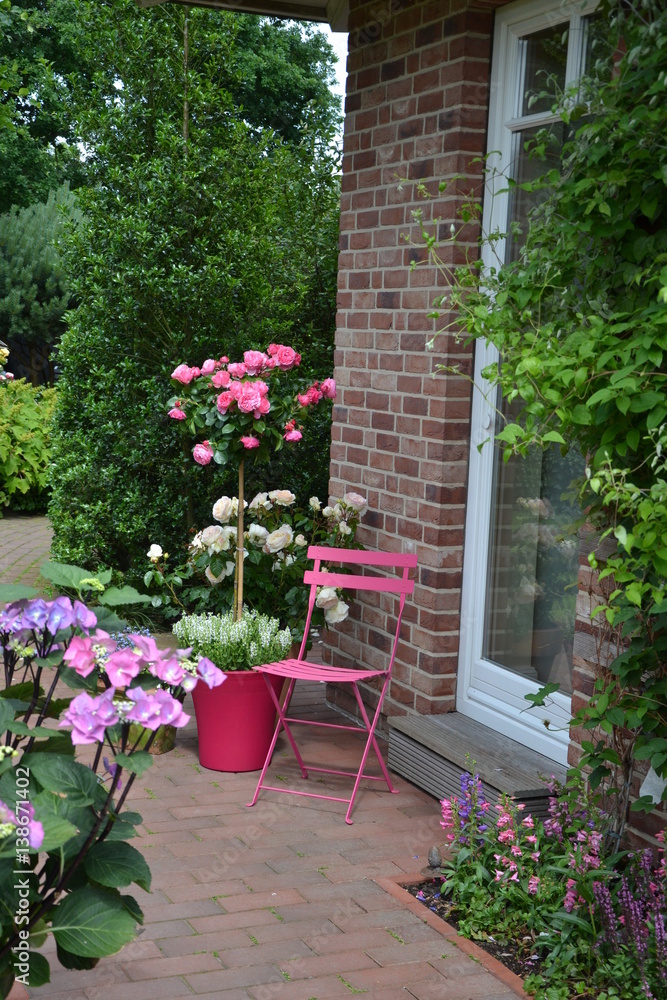 Rosenhochstämme pink und weiß 2 Rosenhochstämme pink und weiß 2