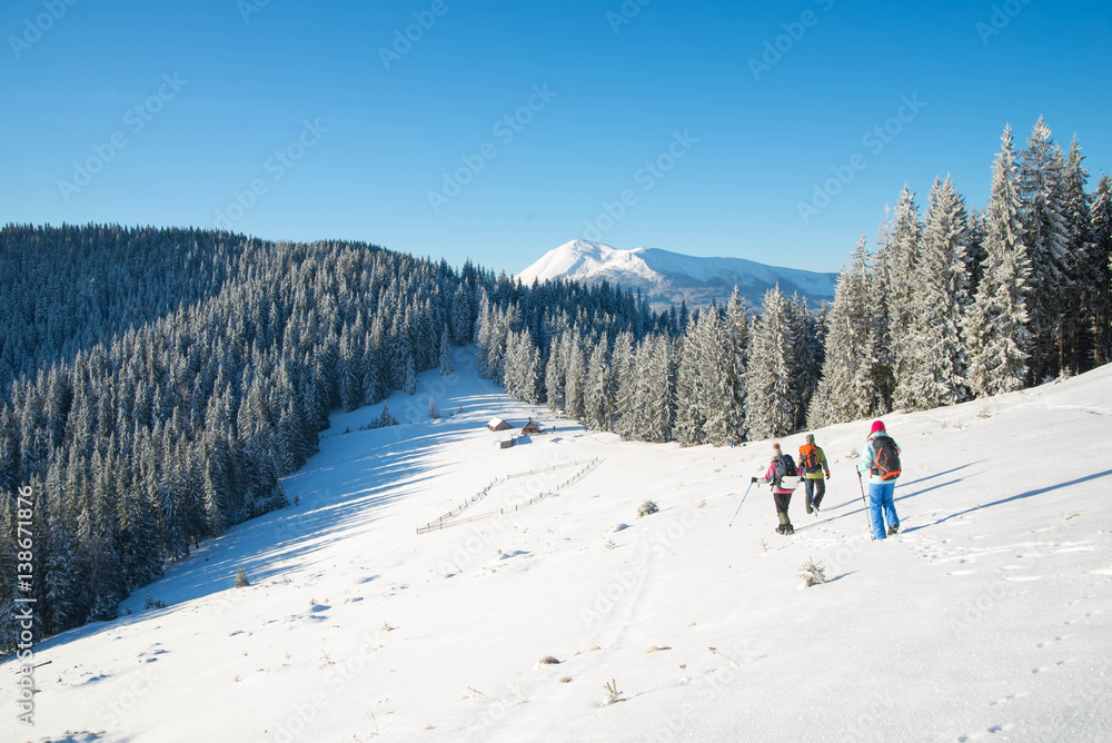 a group of tourists with backpacks hiking in winter mountains and forest