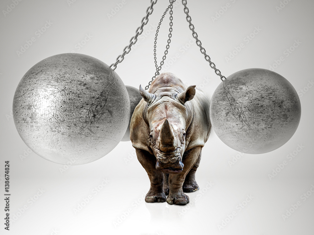 strong like rhino StockFoto Adobe Stock