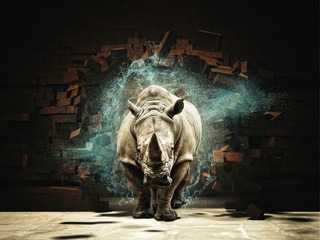 Fototapete Nashorn Nashorn zerstören Mauer 3D-Rendering-Bild  © tiero
