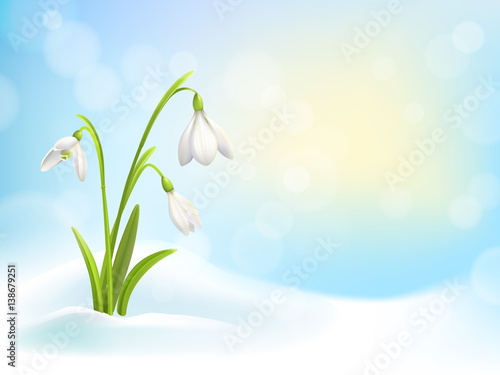 Spring snowdrop flowers with snow on background with blue sky, sun and blurred bokeh lights. Vector illustration.
