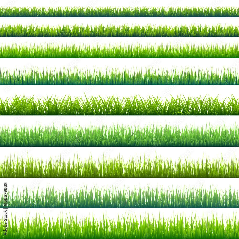 Fototapeta Grass isolated on white set. Green meadow. Nature background. Spring, summer time.