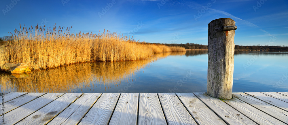 Fototapeta premium Stiller See mit Schilf im Morgenlicht, Holzsteg mit Raureif bedeckt