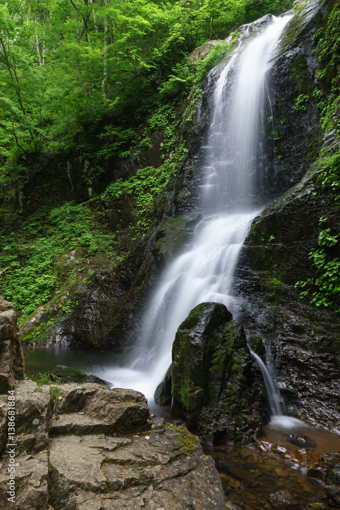 Naklejka premium 新緑の宇津江四十八滝