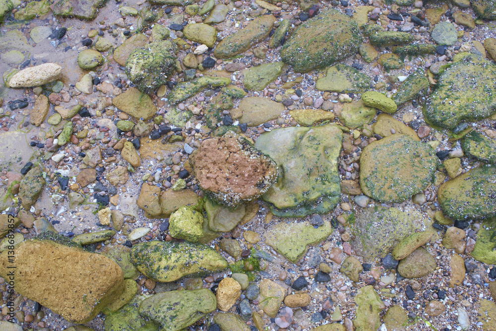 multicolored sea stones
