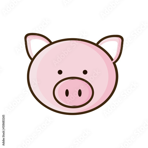 colorful picture face cute pig animal vector illustration