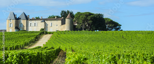 Vineyard and Chateau d'Yquem, Sauternes Region, Aquitaine, France photo