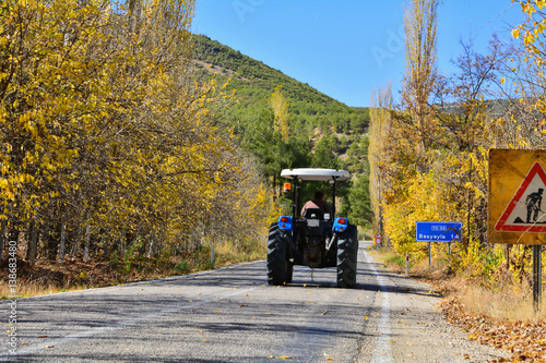 Wallpaper Mural Sonbaharda çalışmak Torontodigital.ca