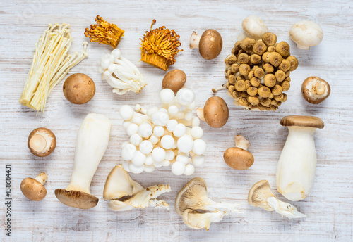 Different Types of Mushrooms in Top View