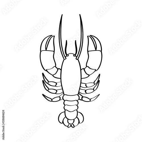 monochrome line contour with lobster vector illustration © grgroup