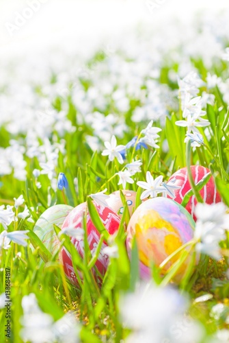 Handbemalte Ostereier zwischen Puschkinien, freigestellt, Osterkarte, Ostern, Osterfest  photo