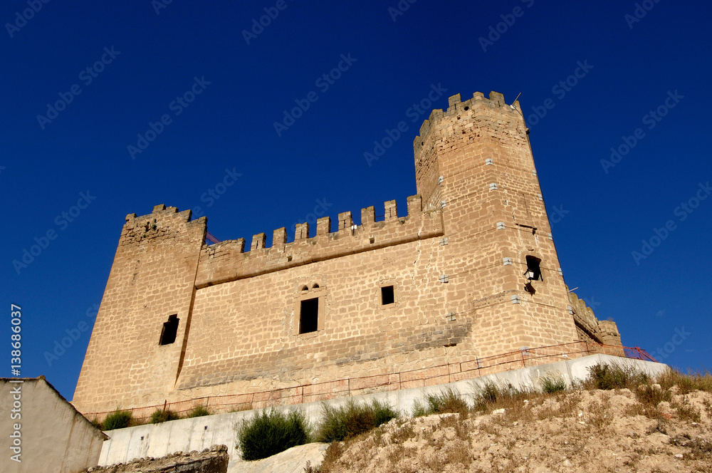 Castle of Monteagudo de las Vicarias, Soria province, Castilla y Leon, Spain