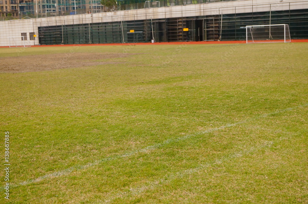 Fototapeta premium Football field lawn landscape