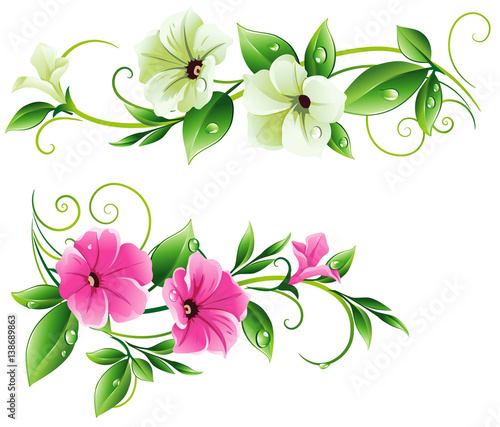 Floral pattern with petunia. Horizontal ornament with flowers and leaves