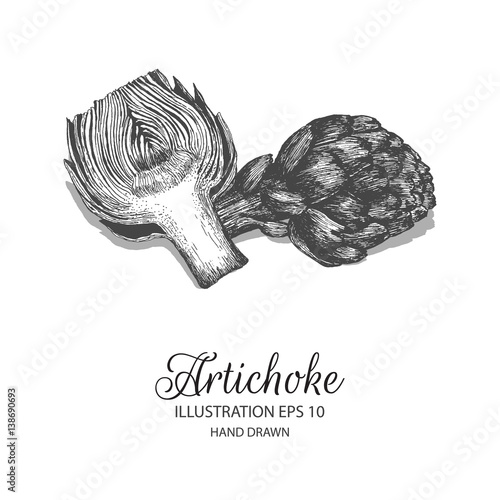 Artichoke hand drawn illustration by ink and pen sketch. Isolated vector elements design for fruit and vegetable products and health care goods.