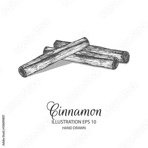 Cinnamon stick hand drawn illustration by ink and pen sketch. Isolated vector elements design for herb and spice products and health care goods.