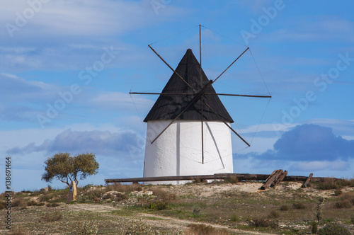 Molino de viento blanco y negro