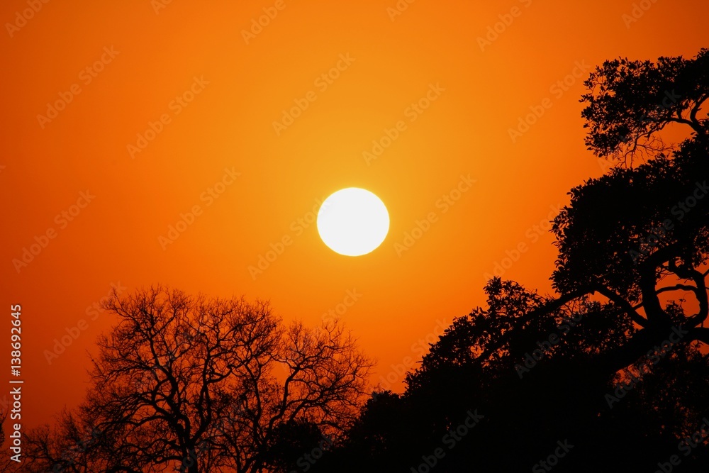 Fototapeta premium Sonnenuntergang in Südafrika
