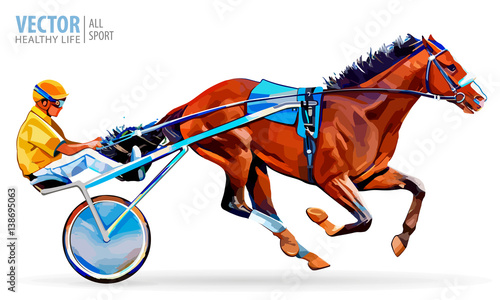 Jockey and horse. Champion. Racing. Hippodrome. Racing steed coming first to finish line. Chariot with horse and rider. Stallion race track. Harness racing at the Hippodrome. Vector illustration.