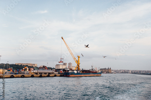 Port and flying seagulls in the sky. Beautiful peaceful view Istanbul, Turkey