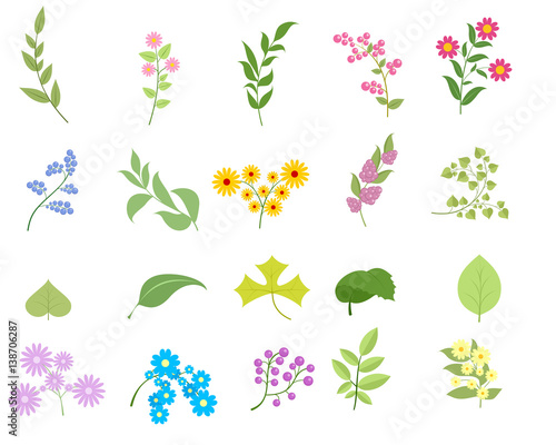 Flowers and leafs set