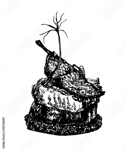 drawing Spanish tapas with jamon on a pieces of vegetables , sketch, hand-drawn vector illustration