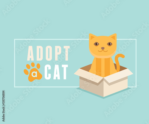 Adopt a cat banner design
