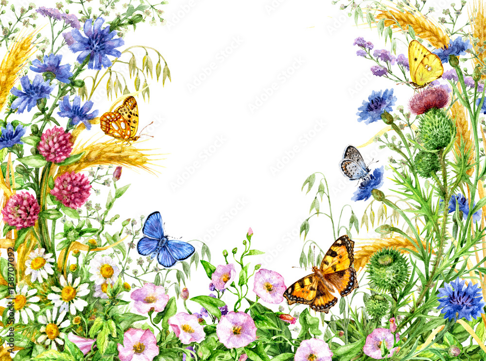 Watercolor Floral Frame with Butterflies.