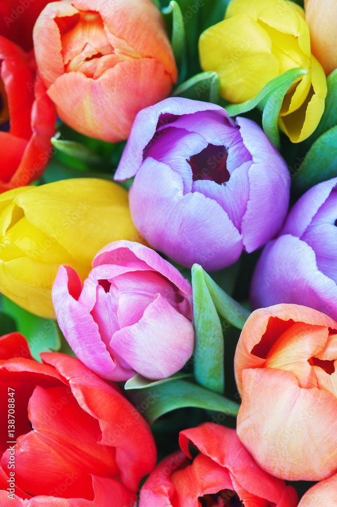 Bouqet of various tulips close-up Bouqet of various tulips close-up