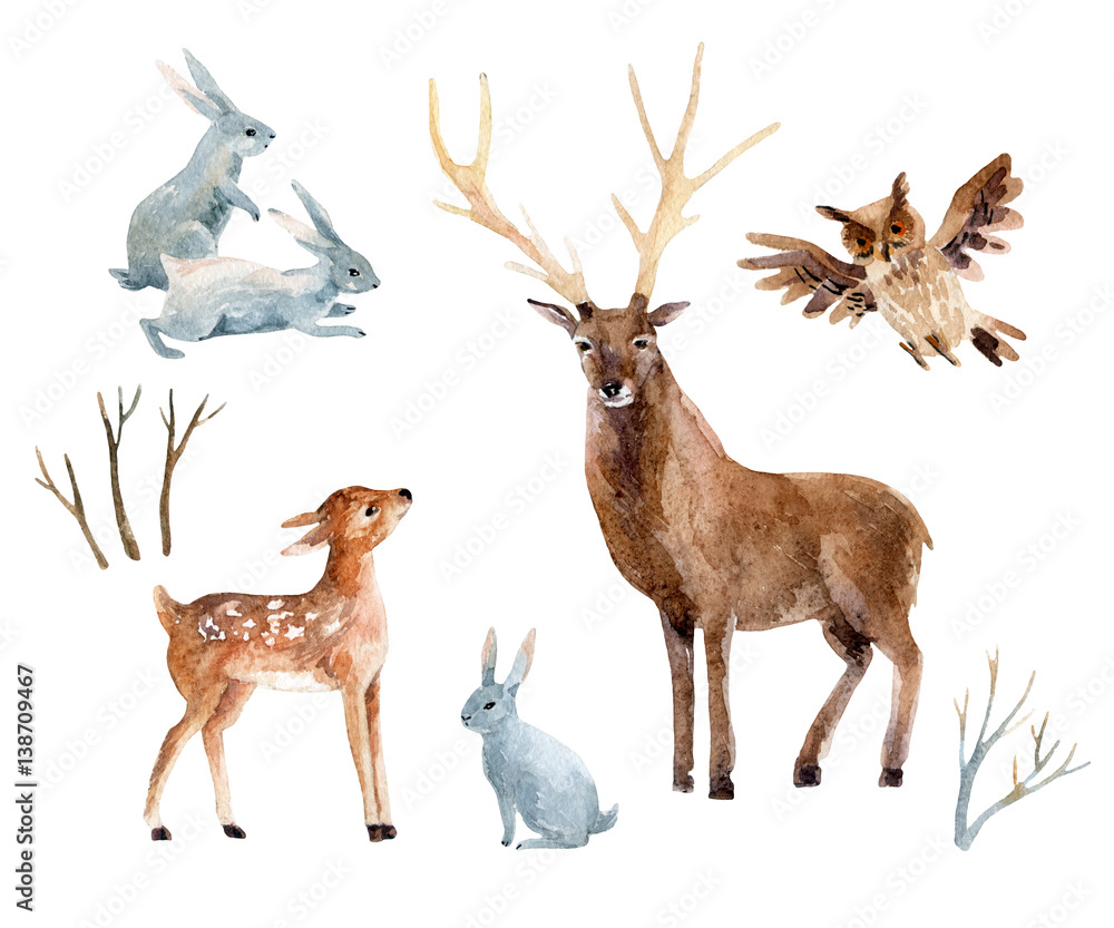 Obraz Akwarela jelenia z fawn, króliki, ptaki na białym tle.