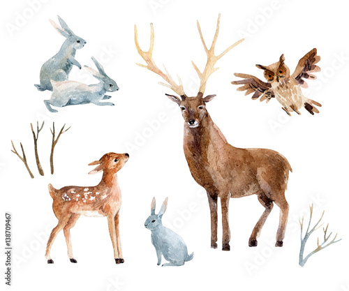 Obraz na płótnie Akwarela jelenia z fawn, króliki, ptaki na białym tle.