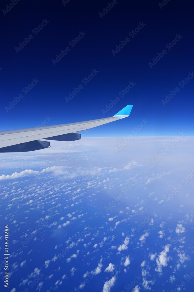Fototapeta premium avion aile paysage vertical