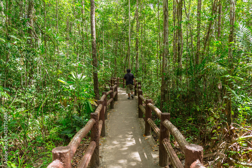 Into the Forest  Walkway to Emerald Pool or Emerald Lake  nature swamp in beautiful green blue lagoon water pond in the forest amazing travel location of Krabi Thailand.