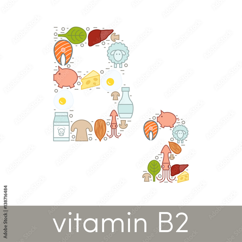 Vitamin B2 vector