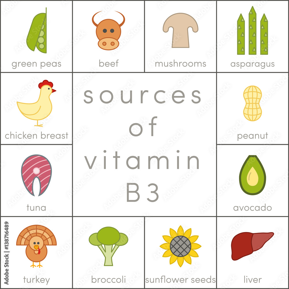Vitamin B3 vector