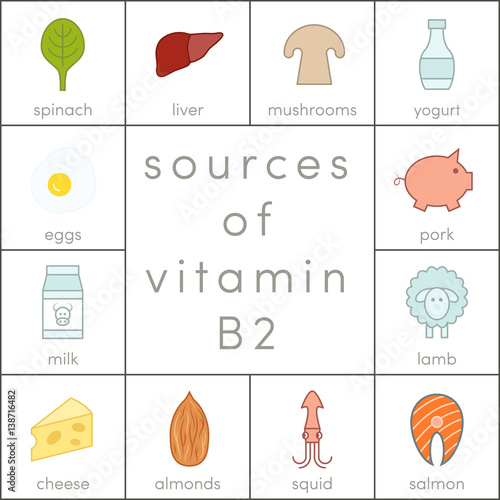 Photos Vitamin B2 vector