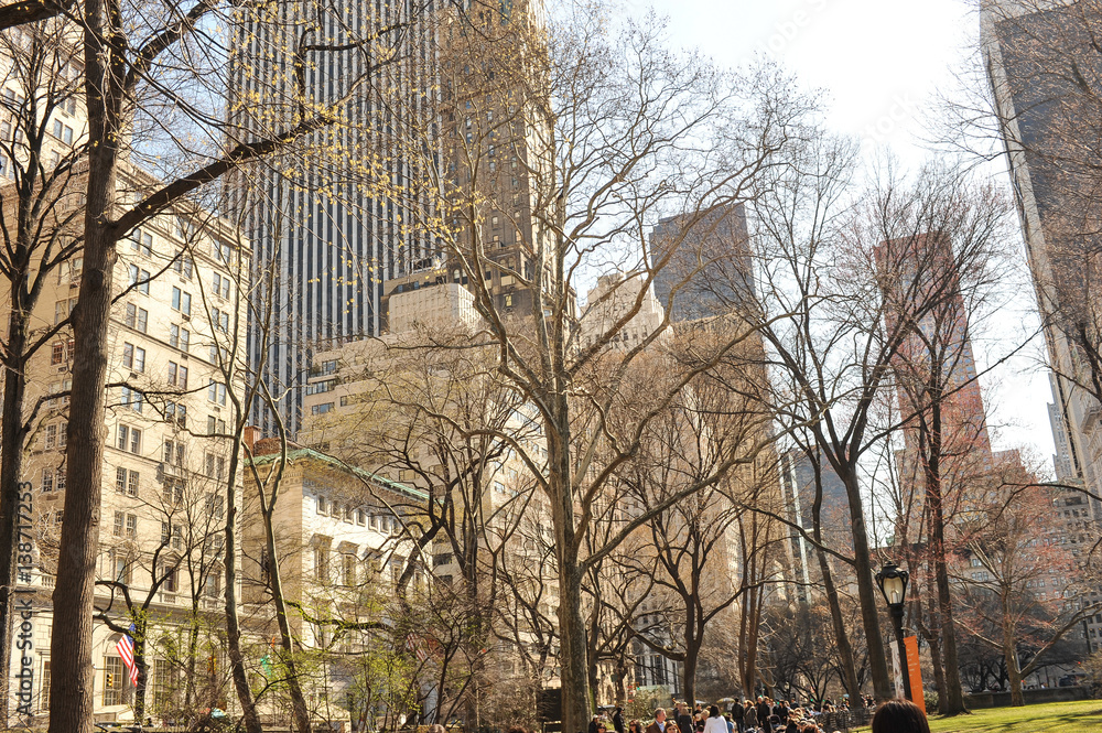New York buildings seen through trees.