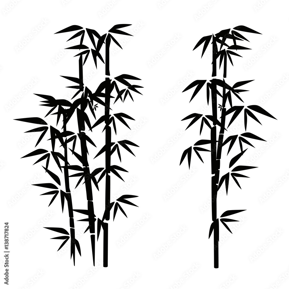 Fototapeta premium bamboo illustration