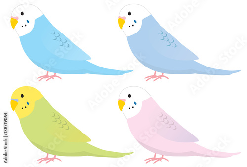 インコのイラスト（セキセイインコ）